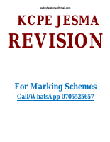 CLASS 8 JESMA EXAMS 003.pdf